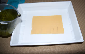 platinum-palladium printing-wet workspace